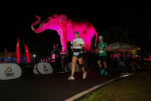 BIB: 
                            <button type="button" onclick="openModal(26544260)" class="btn btn-primary btn-sm float-right btn-popup" data-toggle="modal" data-target=".modal-high-quality">
                        <i class="fas fa-shopping-cart"></i> Add to Cart
                    </button>
                                            <button type="button" onclick="isThisMe(26544260, true)" class="btn btn-success btn-sm float-right btn-popup btn-isme hidden" data-toggle="tooltip" data-placement="bottom" title="นี่คือรูปของคุณใช่ไหม คลิกที่นี่เพื่อเอาเข้าอัลบั้ม">
                        <i class="fas fa-plus"></i> Add to album
                    </button>
                    <button type="button" onclick="isThisMe(26544260, false)" class="btn btn-warning btn-sm float-right btn-popup btn-isnotme hidden">
                        <i class="fas fa-ban"></i> Remove from album
                    </button>